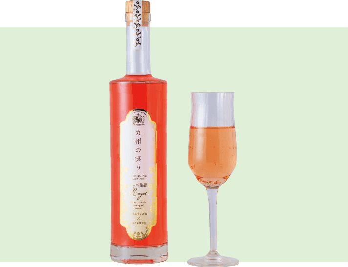 Fruit of Kyushu Rose plum wine