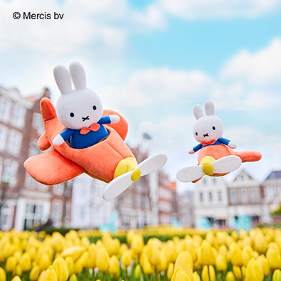 ハウステンボスミニチュアハウス42個 希少品 HUIS TEN BOSCH ハウステンボスミニチュアハウス42個 希少品 HUIS TEN BOSCH